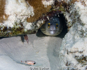 Bonaire by Jim Garber 